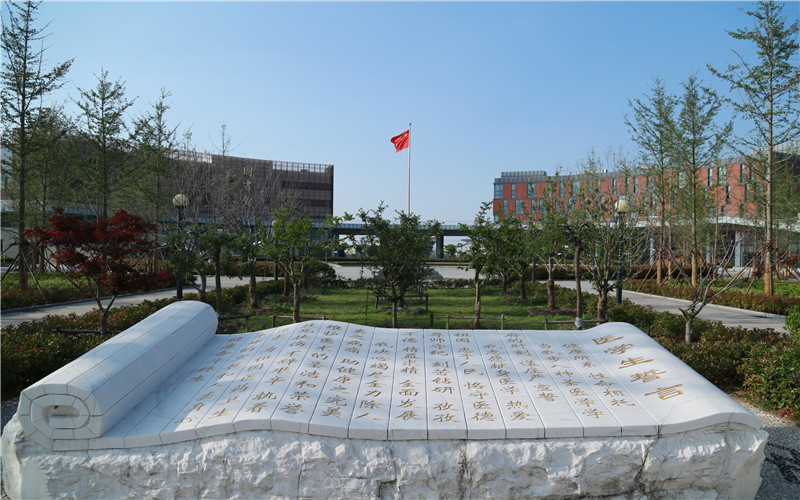 河北高碑店：爱心午餐 暖胃更暖心